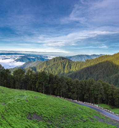 Untitled design - 2026-01-21T164454.190