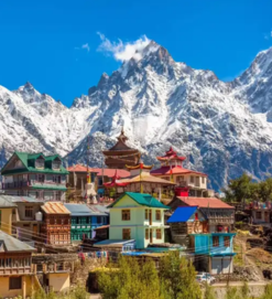 Untitled design - 2026-01-21T164619.139