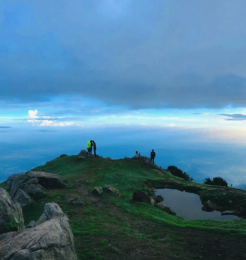 Untitled design - 2026-01-21T165941.456