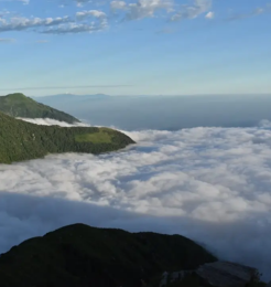 Untitled design - 2026-01-21T170033.054