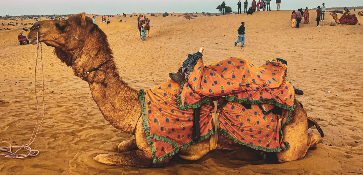 JAISALMER LONGEWALA 2N/3D